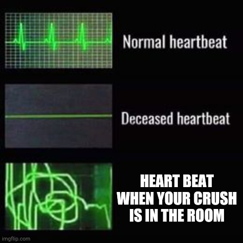 heartbeat rate | HEART BEAT WHEN YOUR CRUSH IS IN THE ROOM | image tagged in heartbeat rate | made w/ Imgflip meme maker