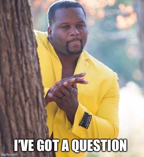 Black guy hiding behind tree | I’VE GOT A QUESTION | image tagged in black guy hiding behind tree | made w/ Imgflip meme maker