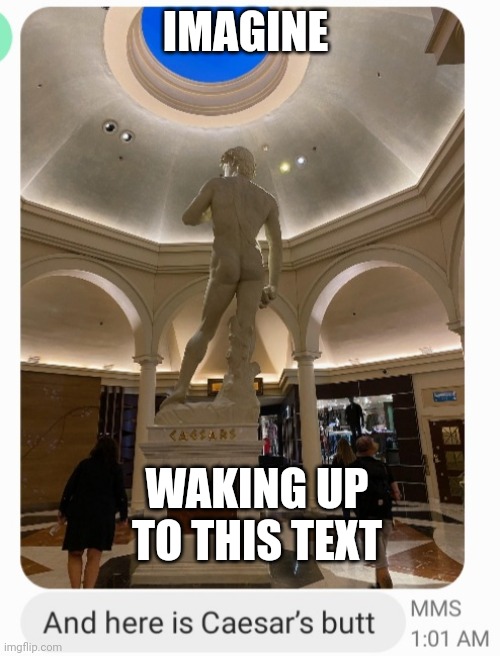 Ceaser do be lookin fine | IMAGINE; WAKING UP TO THIS TEXT | image tagged in tag,ha ha tags go brr,why are you reading this | made w/ Imgflip meme maker