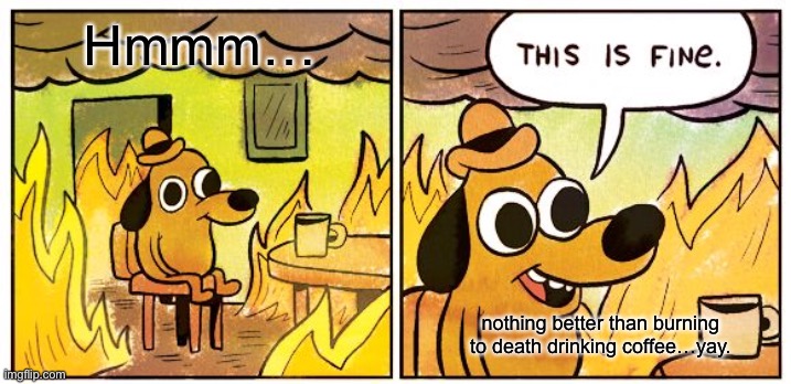 This Is Fine | Hmmm…; nothing better than burning to death drinking coffee…yay. | image tagged in memes,this is fine | made w/ Imgflip meme maker