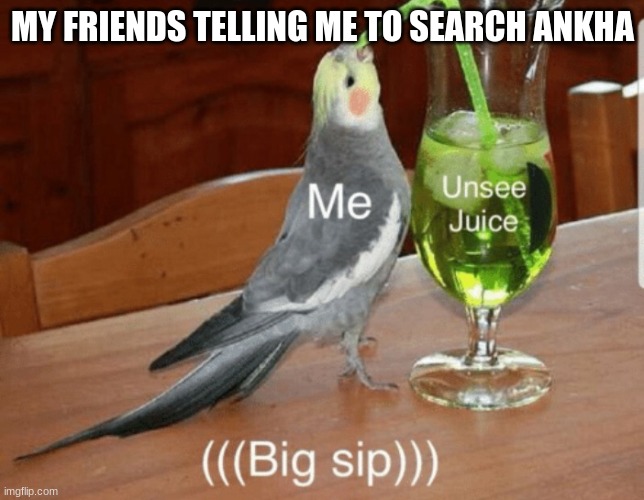 Unsee juice | MY FRIENDS TELLING ME TO SEARCH ANKHA | image tagged in unsee juice | made w/ Imgflip meme maker