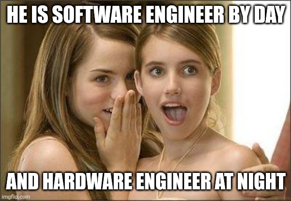 Engineer | HE IS SOFTWARE ENGINEER BY DAY; AND HARDWARE ENGINEER AT NIGHT | image tagged in girls gossiping | made w/ Imgflip meme maker