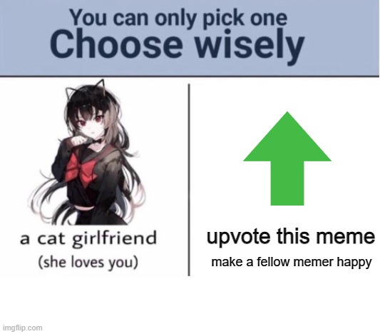 choose wisely | upvote this meme; make a fellow memer happy | image tagged in choose wisely | made w/ Imgflip meme maker