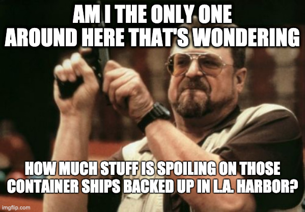Am I The Only One Around Here | AM I THE ONLY ONE AROUND HERE THAT'S WONDERING; HOW MUCH STUFF IS SPOILING ON THOSE CONTAINER SHIPS BACKED UP IN L.A. HARBOR? | image tagged in memes,am i the only one around here | made w/ Imgflip meme maker