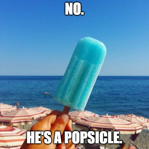 Anise Popsicle | NO. HE'S A POPSICLE. | image tagged in anise popsicle | made w/ Imgflip meme maker