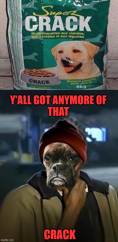My dog is a crackhead |  Y'ALL GOT ANYMORE OF
THAT; CRACK | image tagged in crackhead,dog,dog food | made w/ Imgflip meme maker