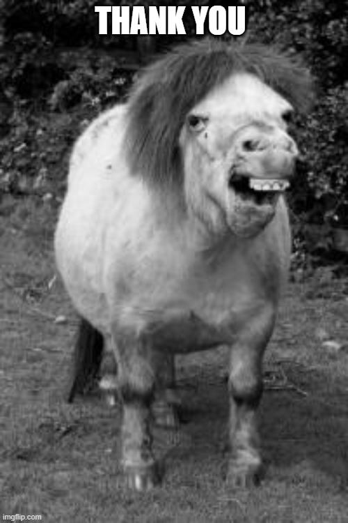 ugly horse | THANK YOU | image tagged in ugly horse | made w/ Imgflip meme maker