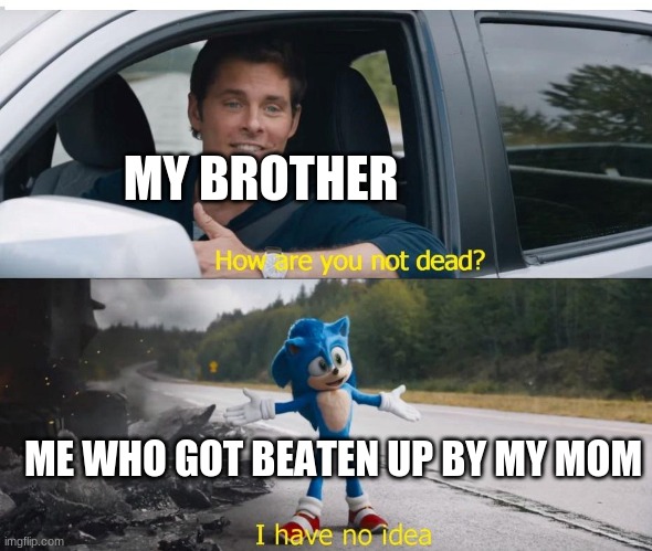 sonic how are you not dead | MY BROTHER; ME WHO GOT BEATEN UP BY MY MOM | image tagged in sonic how are you not dead | made w/ Imgflip meme maker