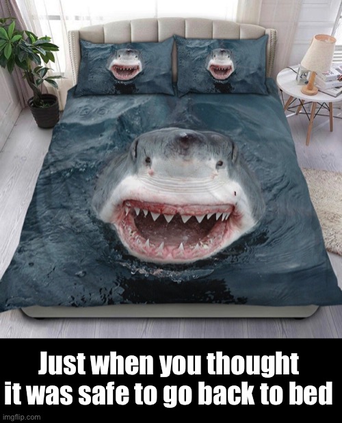 Da-da-da-da-da-da | Just when you thought it was safe to go back to bed | image tagged in funny memes,shark | made w/ Imgflip meme maker