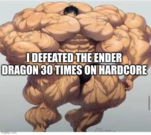 Mistakes make you stronger | I DEFEATED THE ENDER DRAGON 30 TIMES ON HARDCORE | image tagged in mistakes make you stronger | made w/ Imgflip meme maker