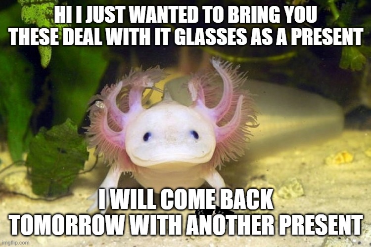 Axolotl | HI I JUST WANTED TO BRING YOU THESE DEAL WITH IT GLASSES AS A PRESENT; I WILL COME BACK TOMORROW WITH ANOTHER PRESENT | image tagged in axolotl | made w/ Imgflip meme maker