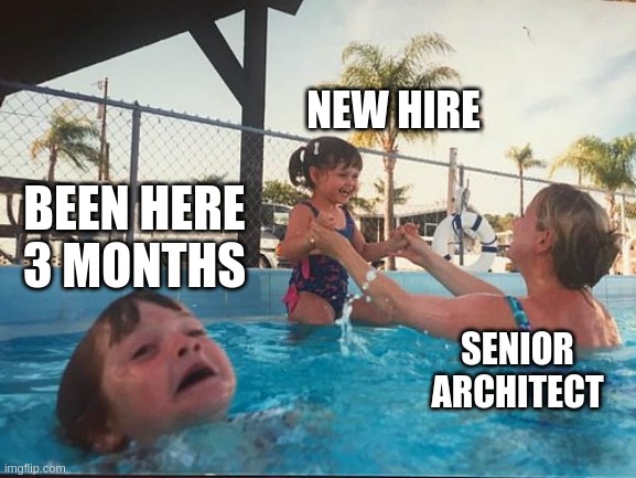 The New Hire | NEW HIRE; BEEN HERE
3 MONTHS; SENIOR ARCHITECT | image tagged in drowning kid in the pool | made w/ Imgflip meme maker