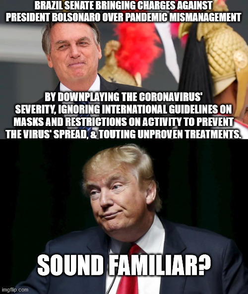 Playing political games cost lives. | BRAZIL SENATE BRINGING CHARGES AGAINST PRESIDENT BOLSONARO OVER PANDEMIC MISMANAGEMENT; BY DOWNPLAYING THE CORONAVIRUS' SEVERITY, IGNORING INTERNATIONAL GUIDELINES ON MASKS AND RESTRICTIONS ON ACTIVITY TO PREVENT THE VIRUS' SPREAD, & TOUTING UNPROVEN TREATMENTS. SOUND FAMILIAR? | image tagged in donald trump loser | made w/ Imgflip meme maker