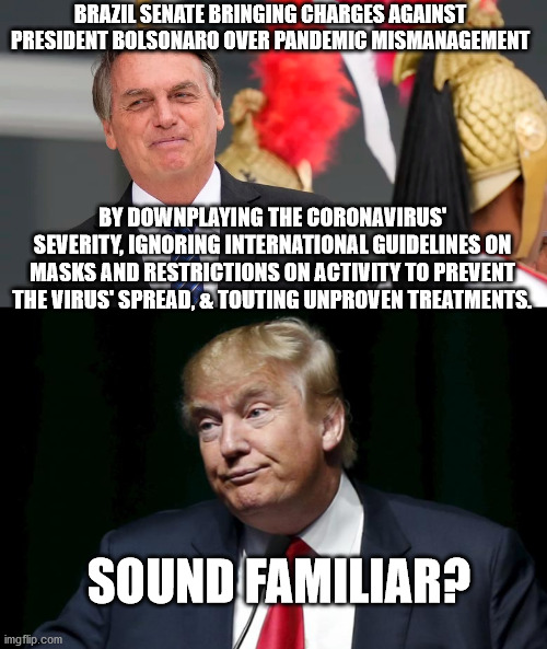 Playing political games cost lives. | BRAZIL SENATE BRINGING CHARGES AGAINST PRESIDENT BOLSONARO OVER PANDEMIC MISMANAGEMENT; BY DOWNPLAYING THE CORONAVIRUS' SEVERITY, IGNORING INTERNATIONAL GUIDELINES ON MASKS AND RESTRICTIONS ON ACTIVITY TO PREVENT THE VIRUS' SPREAD, & TOUTING UNPROVEN TREATMENTS. SOUND FAMILIAR? | image tagged in donald trump loser | made w/ Imgflip meme maker