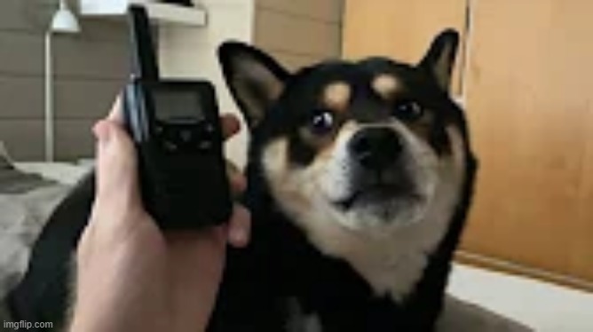 WHO CALL | made w/ Imgflip meme maker