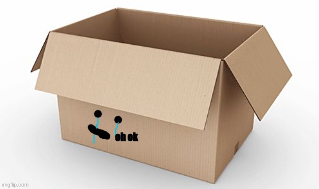 Empty Cardboard Box | oh ok | image tagged in empty cardboard box | made w/ Imgflip meme maker
