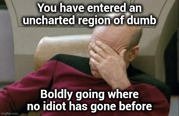 Captain Picard Facepalm Meme | You have entered an uncharted region of dumb Boldly going where no idiot has gone before | image tagged in memes,captain picard facepalm | made w/ Imgflip meme maker