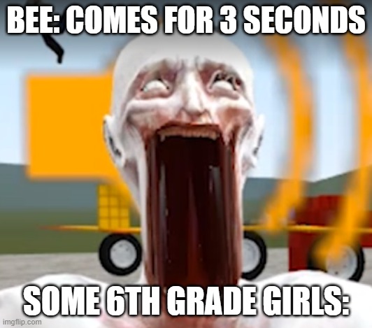 RUH OH THE BEEZS | BEE: COMES FOR 3 SECONDS; SOME 6TH GRADE GIRLS: | image tagged in 096 scream | made w/ Imgflip meme maker