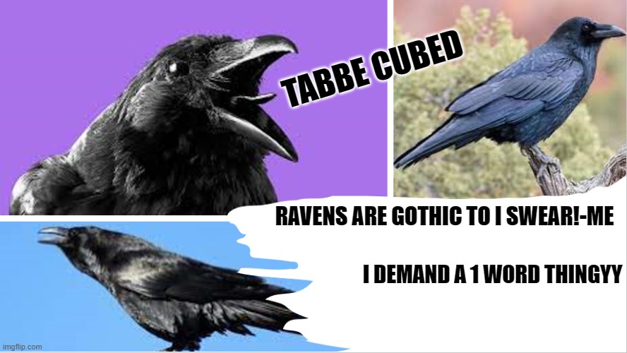 totaly not trying to pixelate it no why would i do that | I DEMAND A 1 WORD THINGYY | image tagged in my raven temp ha | made w/ Imgflip meme maker