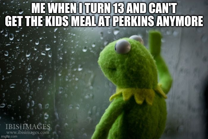 I'm saD | ME WHEN I TURN 13 AND CAN'T GET THE KIDS MEAL AT PERKINS ANYMORE | image tagged in kermit window,perkins,fun,oh wow are you actually reading these tags | made w/ Imgflip meme maker
