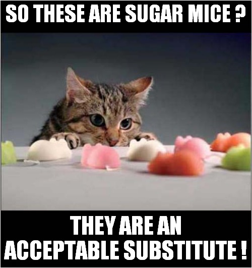 Alternative Offering For The Cat | SO THESE ARE SUGAR MICE ? THEY ARE AN ACCEPTABLE SUBSTITUTE ! | image tagged in cats,offerings,sugar mice | made w/ Imgflip meme maker