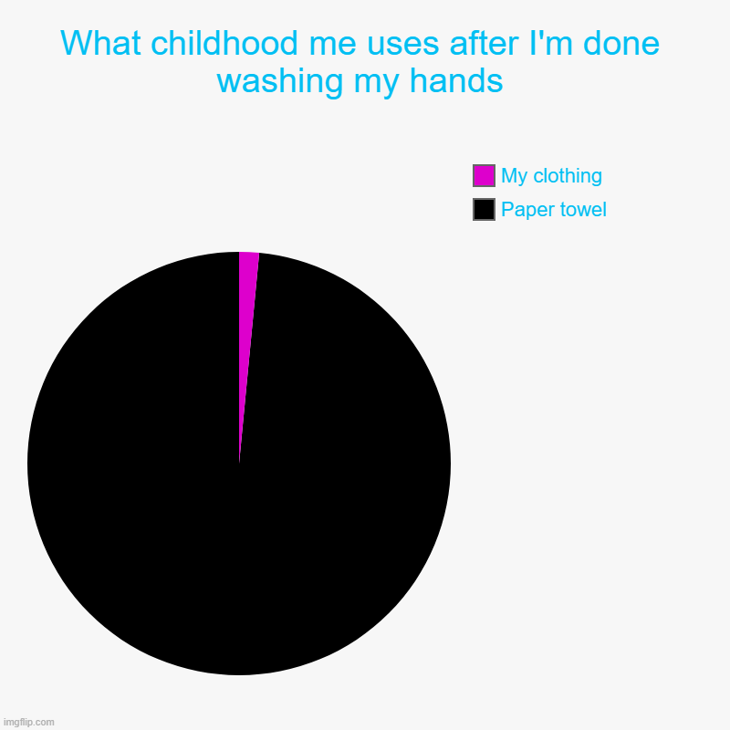 Why was my childhood so relatable | What childhood me uses after I'm done washing my hands | Paper towel, My clothing | image tagged in charts,pie charts,childhood | made w/ Imgflip chart maker