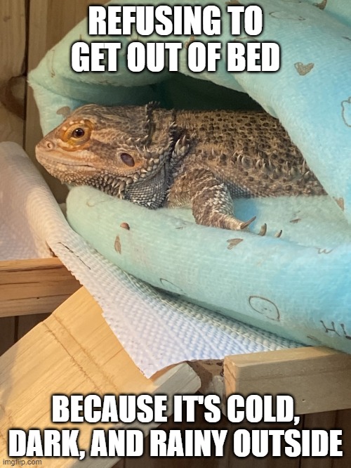 Can't get out of bed | REFUSING TO GET OUT OF BED; BECAUSE IT'S COLD, DARK, AND RAINY OUTSIDE | image tagged in tired | made w/ Imgflip meme maker