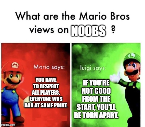 Mario Bros Views | NOOBS; YOU HAVE TO RESPECT ALL PLAYERS. EVERYONE WAS BAD AT SOME POINT. IF YOU'RE NOT GOOD FROM THE START, YOU'LL BE TORN APART. | image tagged in mario bros views | made w/ Imgflip meme maker