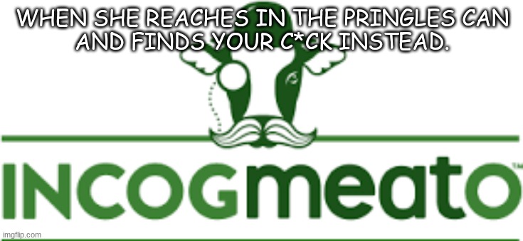 Incogmeato | WHEN SHE REACHES IN THE PRINGLES CAN
AND FINDS YOUR C*CK INSTEAD. | image tagged in funny | made w/ Imgflip meme maker