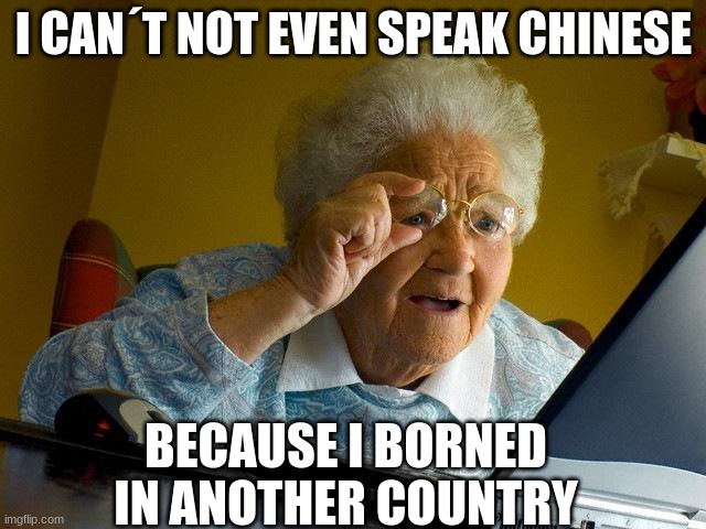 ... | I CAN´T NOT EVEN SPEAK CHINESE; BECAUSE I BORNED IN ANOTHER COUNTRY | image tagged in memes,grandma finds the internet | made w/ Imgflip meme maker