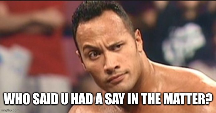 The Rock Eyebrow | WHO SAID U HAD A SAY IN THE MATTER? | image tagged in the rock eyebrow | made w/ Imgflip meme maker