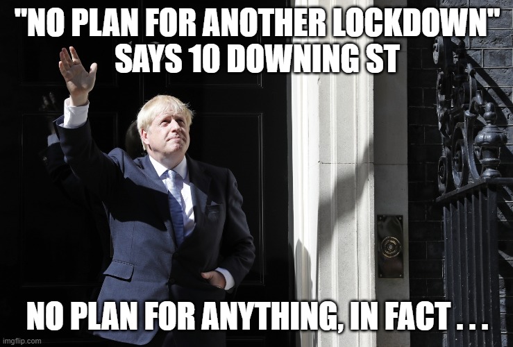 boris | "NO PLAN FOR ANOTHER LOCKDOWN"
SAYS 10 DOWNING ST; NO PLAN FOR ANYTHING, IN FACT . . . | image tagged in snollygoster | made w/ Imgflip meme maker