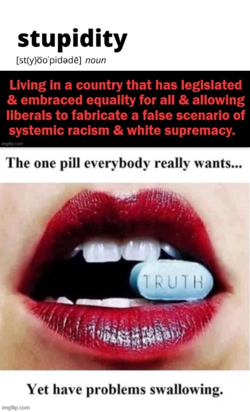 Systemic Racism Is Nonsense; The Truth Shall Set You Free | image tagged in politics,liberalism,systemic racism,nonsense,the truth | made w/ Imgflip meme maker