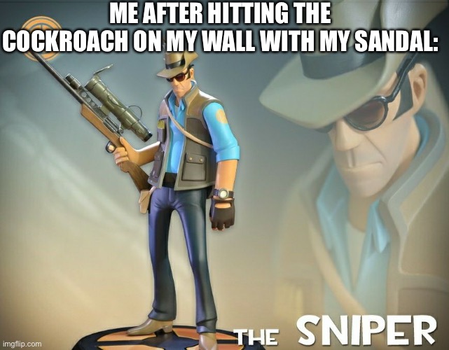 Crickey. | ME AFTER HITTING THE COCKROACH ON MY WALL WITH MY SANDAL: | image tagged in the sniper | made w/ Imgflip meme maker