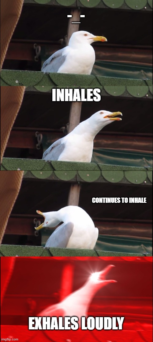 Inhaling Seagull Meme | -_-; INHALES; CONTINUES TO INHALE; EXHALES LOUDLY | image tagged in memes,inhaling seagull | made w/ Imgflip meme maker