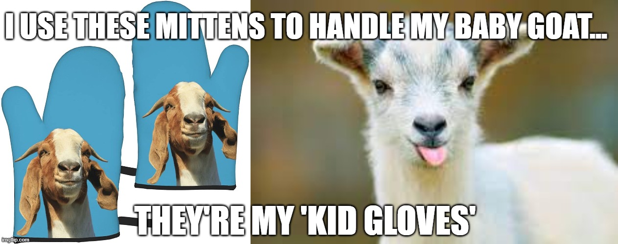 Something punny | I USE THESE MITTENS TO HANDLE MY BABY GOAT... THEY'RE MY 'KID GLOVES' | image tagged in bad pun,goat | made w/ Imgflip meme maker