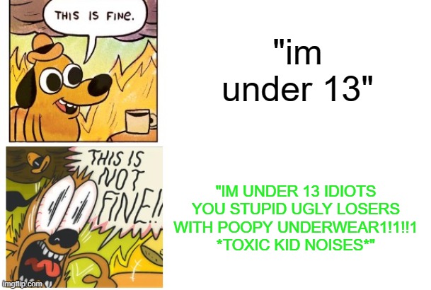 This is Fine, This is Not Fine | "im under 13" "IM UNDER 13 IDIOTS YOU STUPID UGLY LOSERS WITH POOPY UNDERWEAR1!1!!1 *TOXIC KID NOISES*" | image tagged in this is fine this is not fine | made w/ Imgflip meme maker