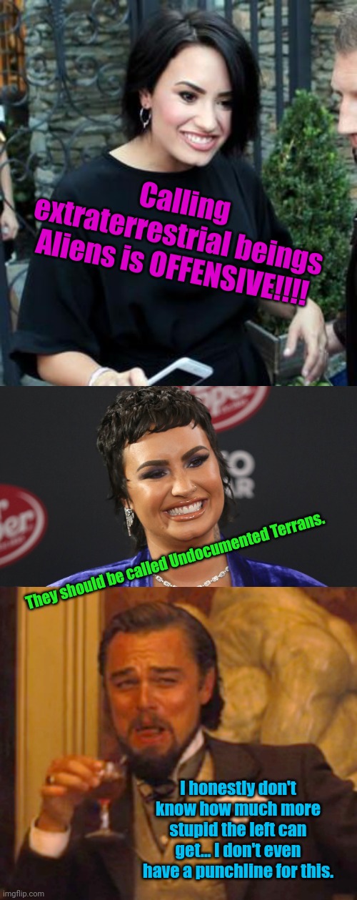 Every day we stray further and further from sanity. | Calling extraterrestrial beings Aliens is OFFENSIVE!!!! They should be called Undocumented Terrans. I honestly don't know how much more stupid the left can get... I don't even have a punchline for this. | image tagged in memes,laughing leo | made w/ Imgflip meme maker