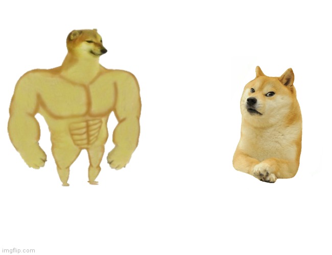 Buff Doge vs. Cheems Meme - Imgflip