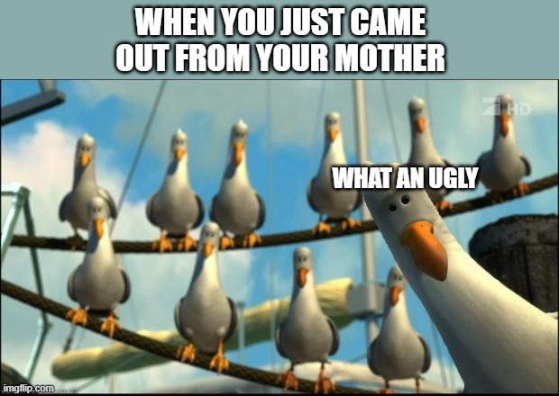 when you born | WHEN YOU JUST CAME OUT FROM YOUR MOTHER; WHAT AN UGLY | image tagged in nemo seagulls mine | made w/ Imgflip meme maker