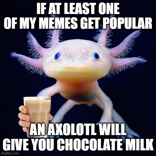 pls get popular |  IF AT LEAST ONE OF MY MEMES GET POPULAR; AN AXOLOTL WILL GIVE YOU CHOCOLATE MILK | image tagged in axolotl,choccy milk,popular | made w/ Imgflip meme maker