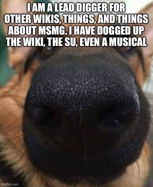 German shepherd but funni | I AM A LEAD DIGGER FOR OTHER WIKIS, THINGS, AND THINGS ABOUT MSMG. I HAVE DOGGED UP THE WIKI, THE SU, EVEN A MUSICAL | image tagged in german shepherd but funni | made w/ Imgflip meme maker