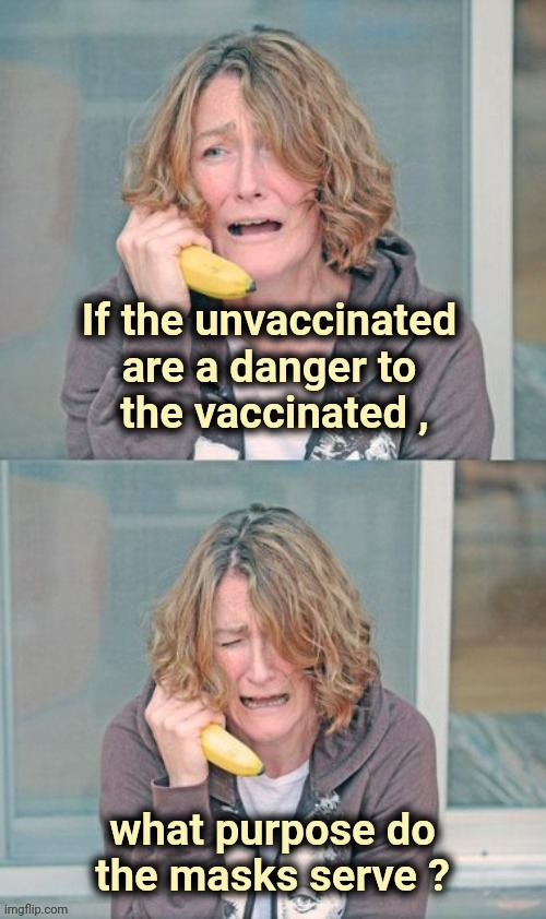 I just want it to make sense |  If the unvaccinated are a danger to
 the vaccinated , what purpose do
the masks serve ? | image tagged in mental patient,lunatic,doctors,make up,change my mind,plandemic | made w/ Imgflip meme maker