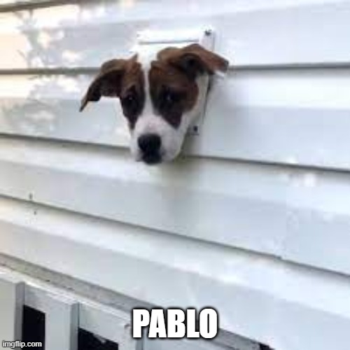 PABLO | made w/ Imgflip meme maker