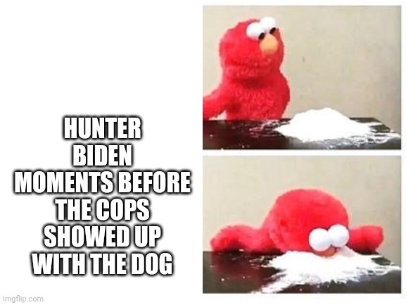 Blank White Template | HUNTER BIDEN MOMENTS BEFORE THE COPS SHOWED UP WITH THE DOG | image tagged in blank white template | made w/ Imgflip meme maker