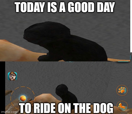 I love Cat Simulator. :) | TODAY IS A GOOD DAY; TO RIDE ON THE DOG | image tagged in blank white template | made w/ Imgflip meme maker