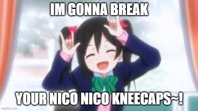 K N E E C A P S | IM GONNA BREAK; YOUR NICO NICO KNEECAPS~! | image tagged in nico nico nii | made w/ Imgflip meme maker