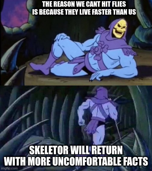 flies | THE REASON WE CANT HIT FLIES IS BECAUSE THEY LIVE FASTER THAN US; SKELETOR WILL RETURN WITH MORE UNCOMFORTABLE FACTS | image tagged in uncomfortable truth skeletor | made w/ Imgflip meme maker