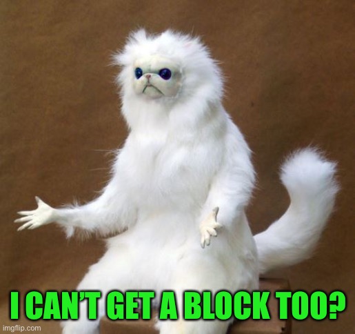 Persian white monkey | I CAN’T GET A BLOCK TOO? | image tagged in persian white monkey | made w/ Imgflip meme maker