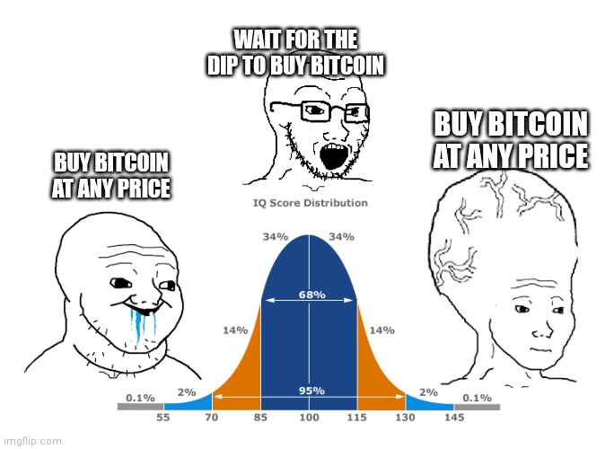 IQ bell curve school | WAIT FOR THE DIP TO BUY BITCOIN; BUY BITCOIN AT ANY PRICE; BUY BITCOIN AT ANY PRICE | image tagged in iq bell curve school | made w/ Imgflip meme maker